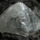 Illustration for article titled An Obscure African Plant Tells Miners Where to Look for Diamonds